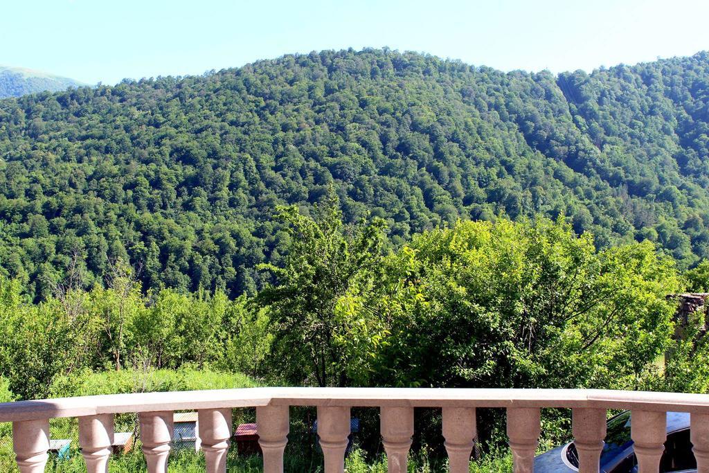 Family & Friends Guest House Dilijan Exterior foto